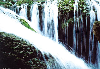 蟒河生态旅游区第 43 张图片