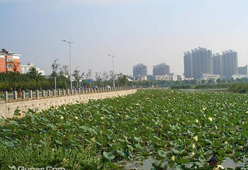 团氿第 2 张图片