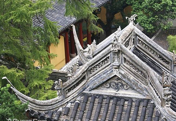 团氿第 5 张图片