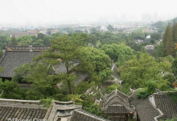 团氿第 4 张图片