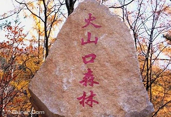 火山口国家森林公园第 30 张图片