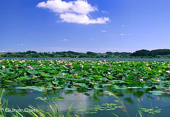 洪湖生态旅游区第 4 张图片