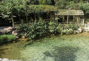 南海湾森林生态园第 21 张图片
