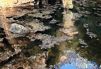 京东大峡谷第 14 张图片
