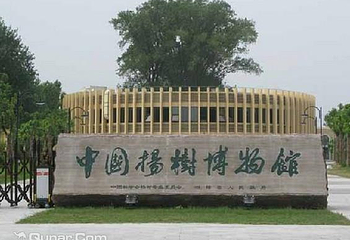 中国杨树博物馆第 5 张图片