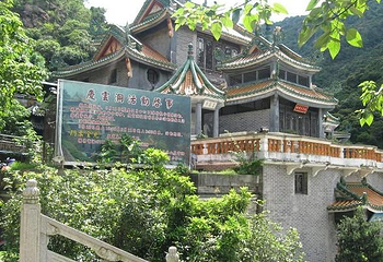 南海湾森林生态园第 15 张图片