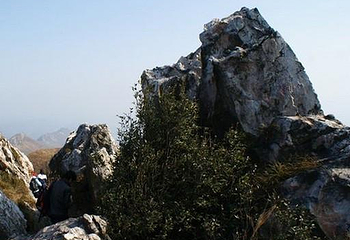 大云山第 5 张图片