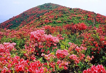 中国印山第 18 张图片