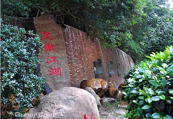 雁南飞茶田景区第 13 张图片
