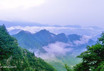 洛阳白云山风景区第 11 张图片