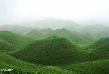南山牧场第 31 张图片
