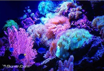 天汇海洋馆第 5 张图片