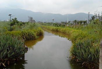 烟雨鹭洲湿地公园第 6 张图片