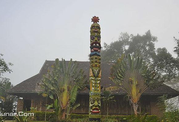 西双版纳旅游专线车第 2 张图片