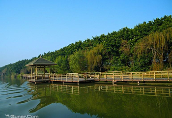 大湾区中央湿地公园第 11 张图片