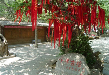青檀寺第 9 张图片