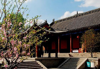 百脉泉公园第 10 张图片