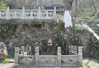 南山第 22 张图片