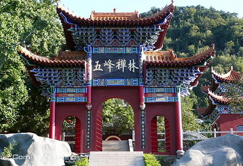 禅林寺古银杏风景园第 4 张图片