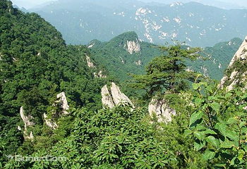 木札岭旅游区第 11 张图片