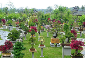 鲍家花园第 31 张图片