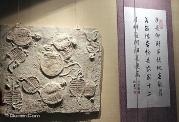 百里山水画廊—硅化木第 10 张图片