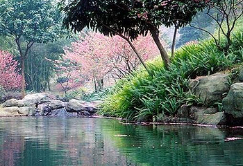 桃花涧第 15 张图片