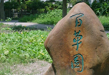 百草园第 15 张图片