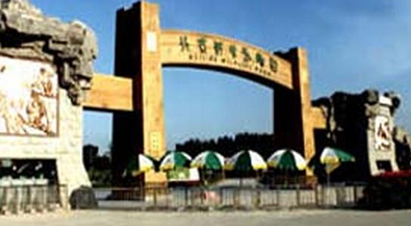 大兴呆呆熊娱乐城