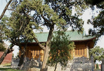 中岳庙第 19 张图片