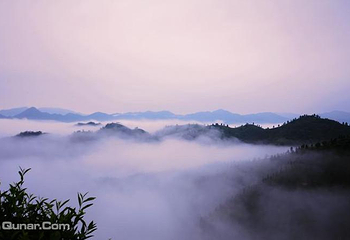 茶山金字塔第 5 张图片