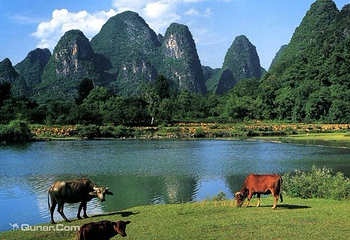桂林荔浦荔江湾第 5 张图片