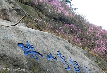大珠山风景区第 11 张图片