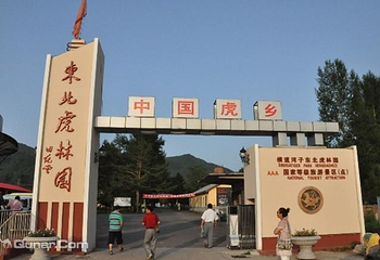 横道河子东北虎林园第 47 张图片