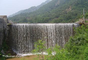 禅林寺古银杏风景园第 7 张图片