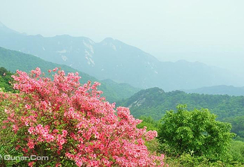 龟峰山景区第 5 张图片