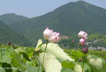 隐山湖湘文化第 1 张图片