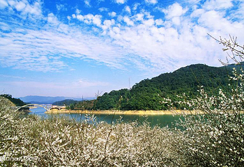 香江大丰水峡谷漂流第 7 张图片