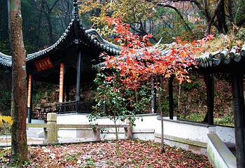 紫金庵第 3 张图片