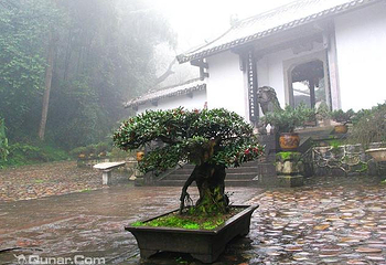 桃花源第 38 张图片