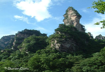 寿星迎宾第 1 张图片