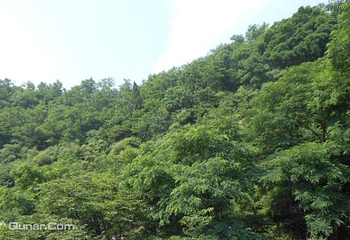 鹤伴山旅游景区第 11 张图片