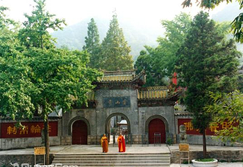 灵山第 10 张图片