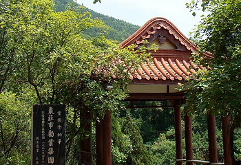 抱犊崮国家森林公园第 24 张图片
