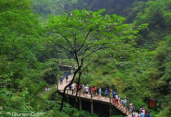 秦岭峡谷乐园第 6 张图片