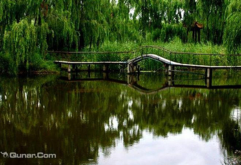 山东文旅马踏湖旅游区第 14 张图片