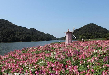 石门国家森林公园第 19 张图片