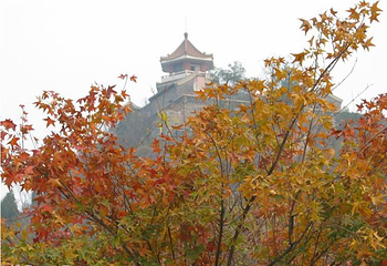 百望山森林公园第 23 张图片