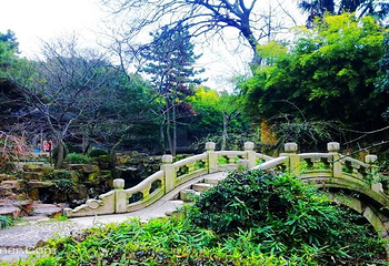 报恩寺第 7 张图片