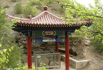 百里山水画廊—硅化木第 11 张图片